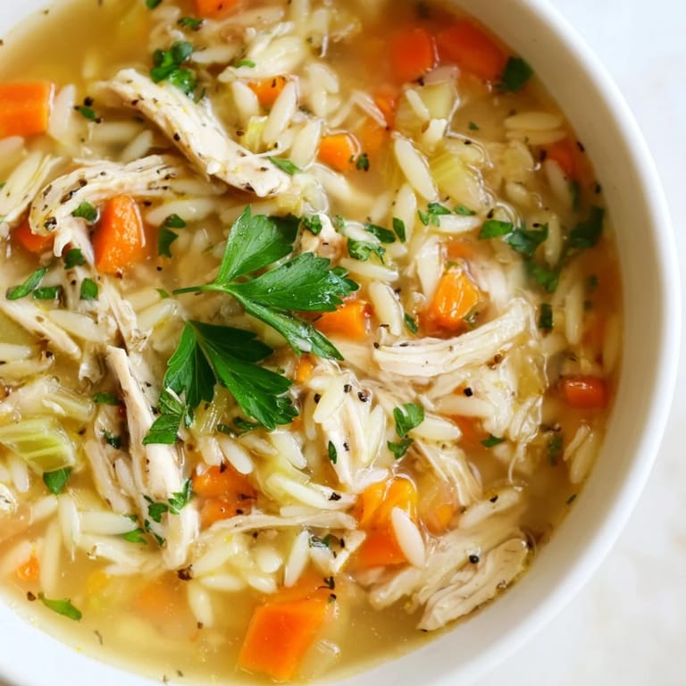 Comforting bowl of Lemon Pepper Chicken Orzo Soup garnished with grated Parmesan and herbs on a cozy kitchen table.